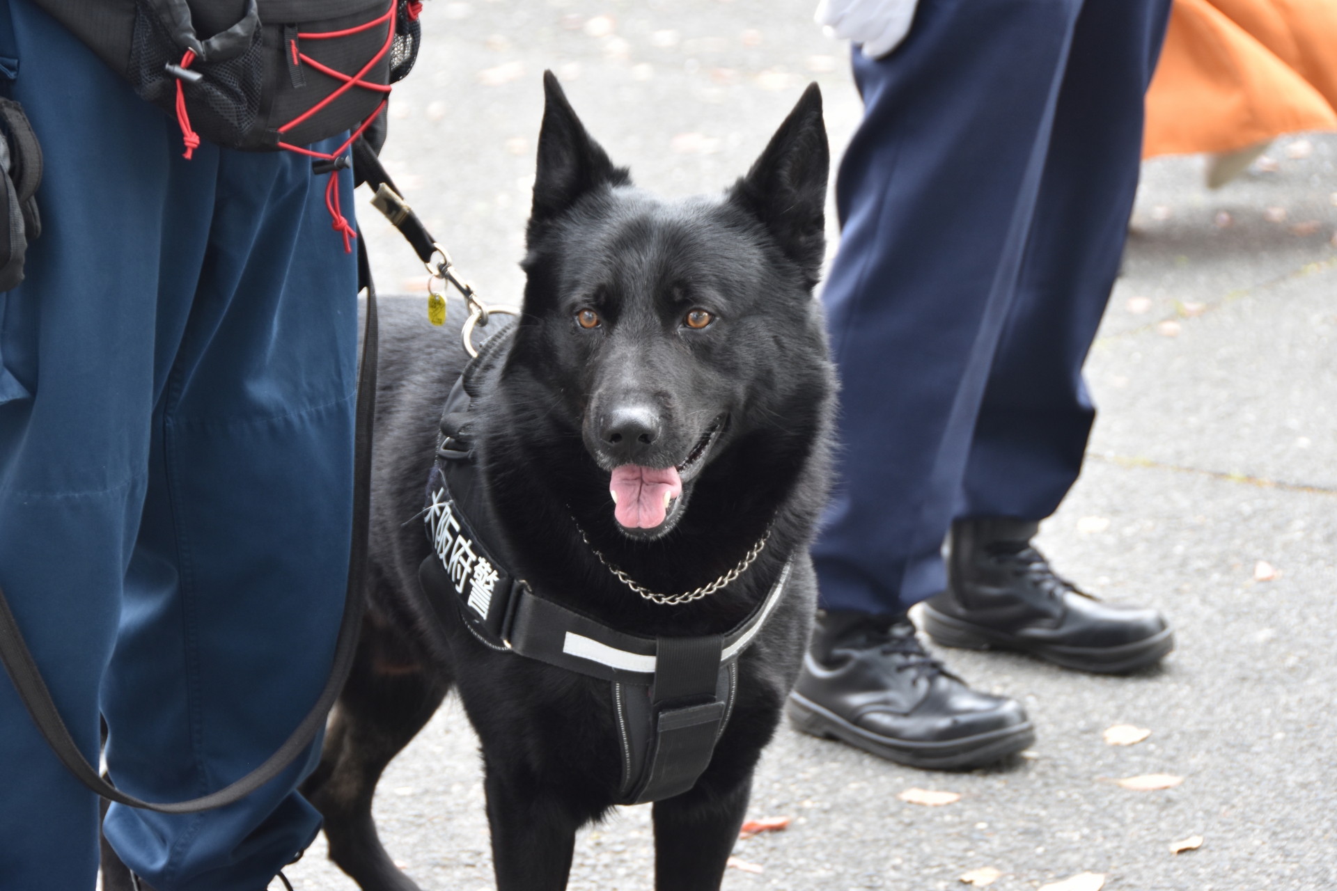 行方不明に気づいたら